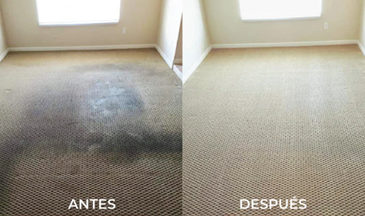 ESPUMA LIMPIADORA DE MUEBLES Y ALFOMBRAS