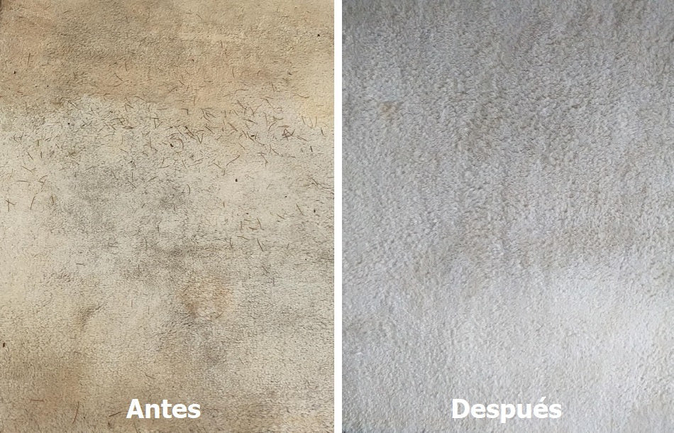 ESPUMA LIMPIADORA DE MUEBLES Y ALFOMBRAS